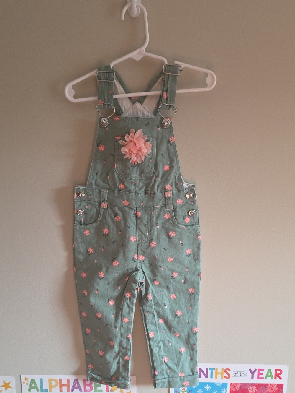 Girls Green Floral Overall Pants with Pink Flower Accent